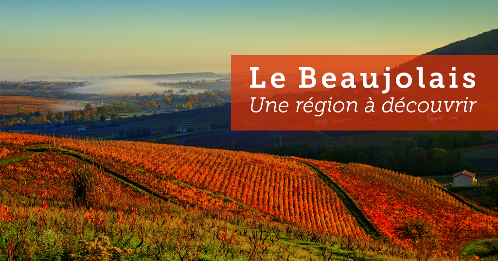 Le Beaujolais, une région à découvrir !